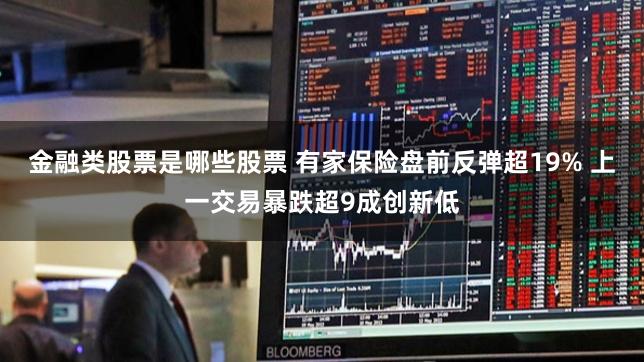 金融类股票是哪些股票 有家保险盘前反弹超19% 上一交易暴跌超9成创新低
