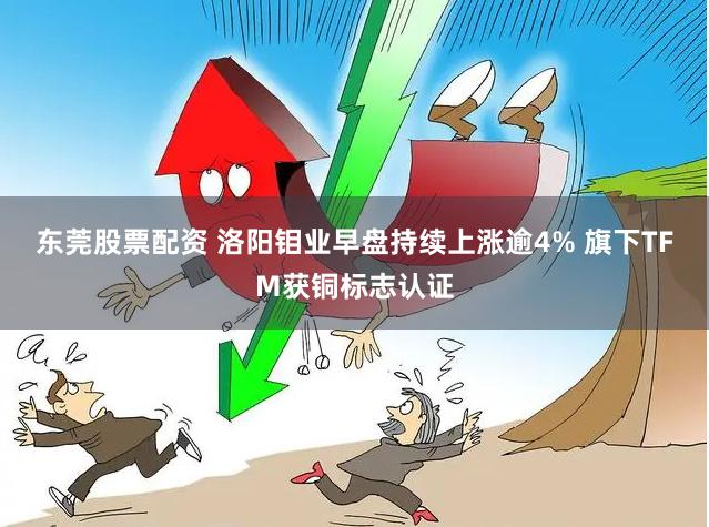 东莞股票配资 洛阳钼业早盘持续上涨逾4% 旗下TFM获铜标志认证
