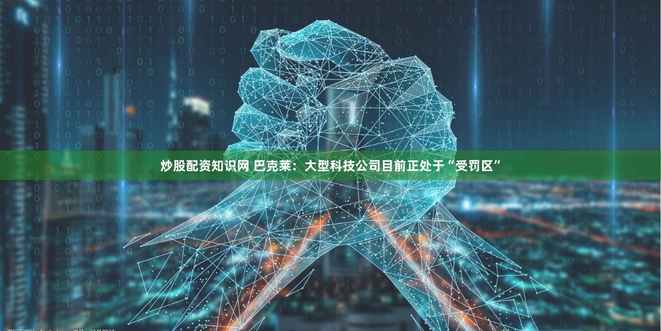 炒股配资知识网 巴克莱：大型科技公司目前正处于“受罚区”